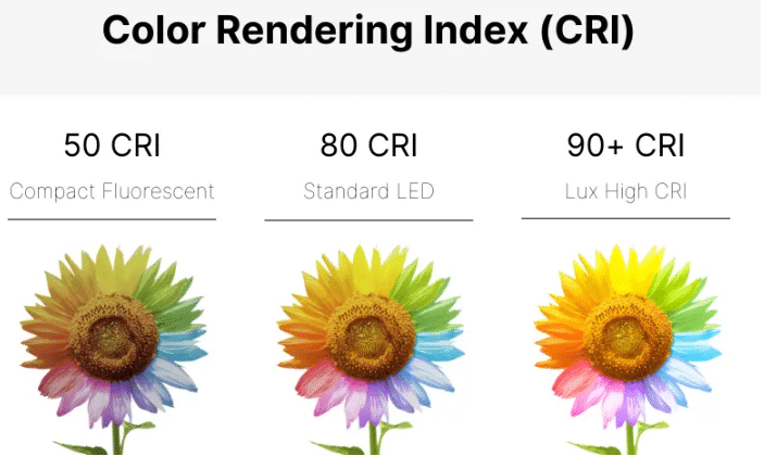 Understanding High CRI and Its Importance