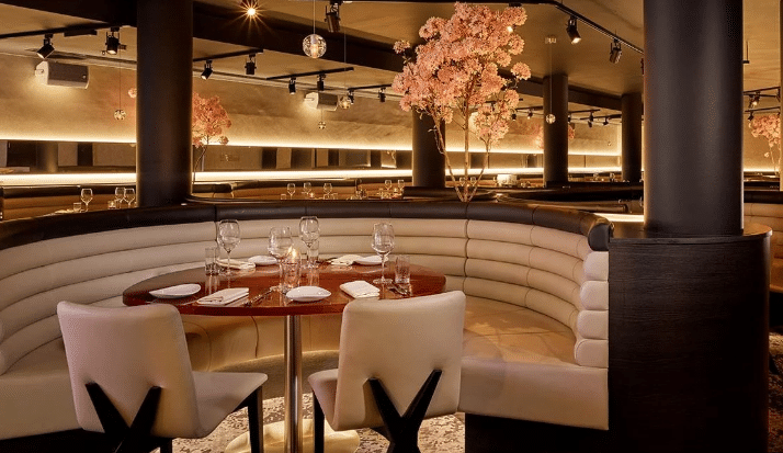 How LED Strip Lighting Can Elevate Your Restaurant'
                style=