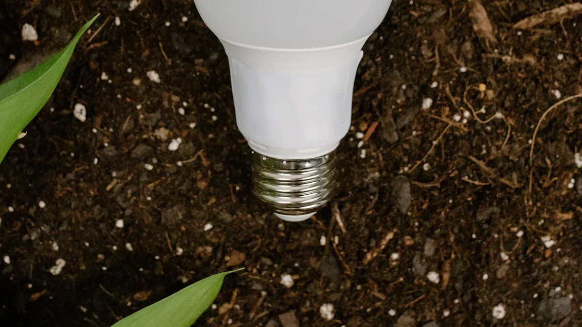 Longevity of LED Light Bulbs